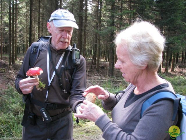 randonnée sportive avec joëlettes, Ovifat, 2012